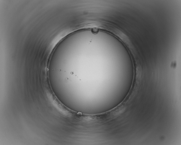 X0000111221234200907091304