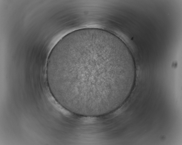 X0000111221236200907091304