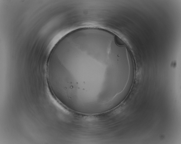 X0000111221239200907091304