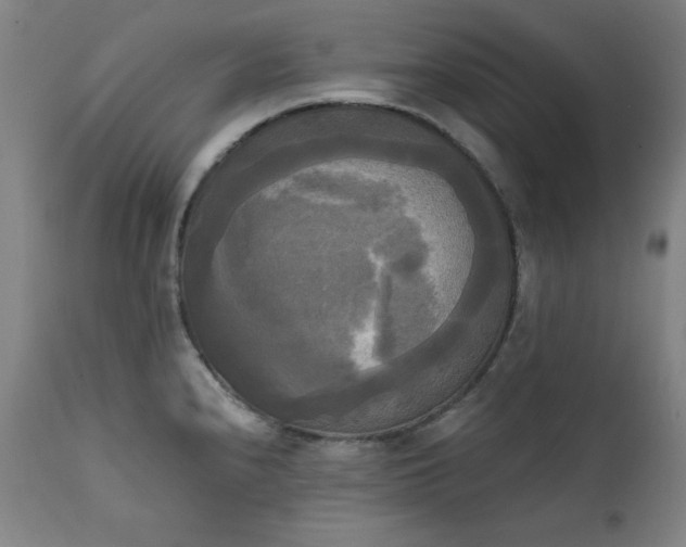 X0000111221240200907091304