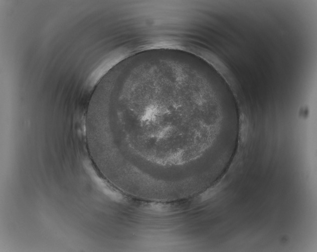 X0000111221241200907091304