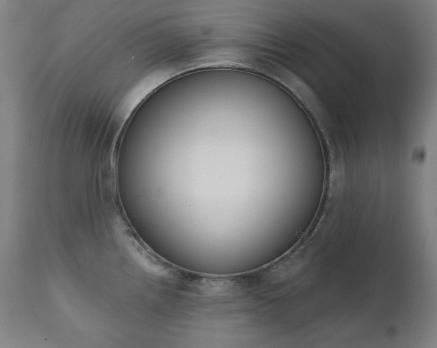 X0000111221242200907091304