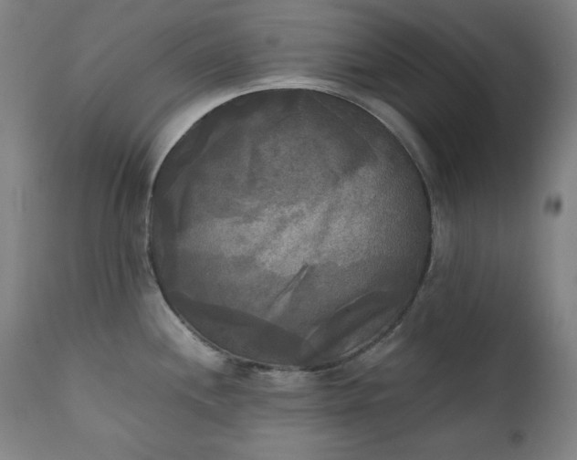 X0000111221244200907091304
