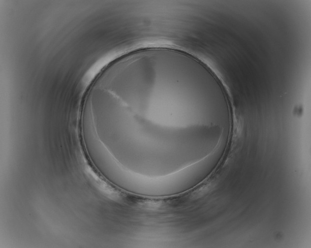X0000111221245200907091304