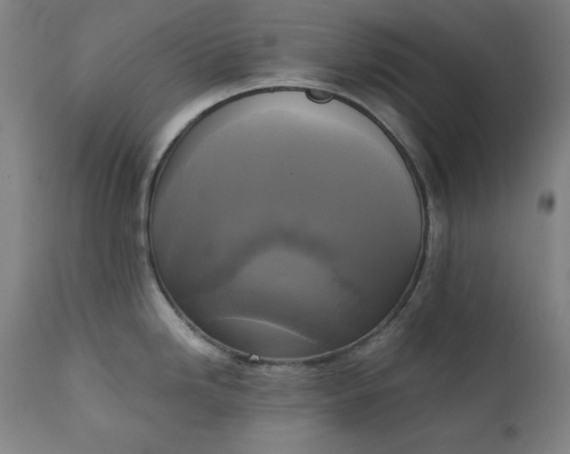 X0000111221246200907091304