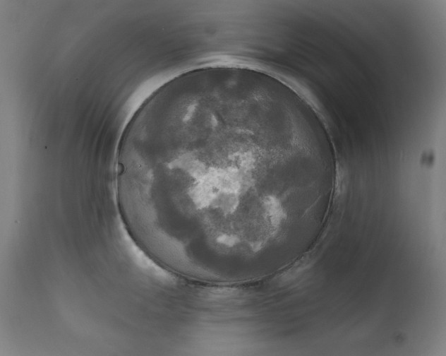 X0000111221247200907091304