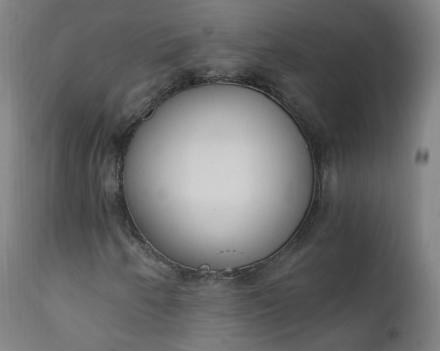 X0000111221250200907091303