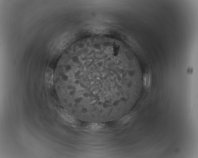 X0000111221251200907091303