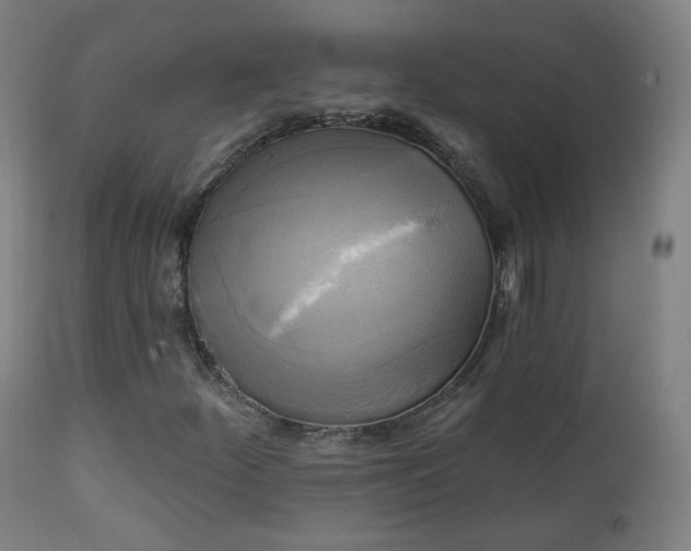 X0000111221252200907091303