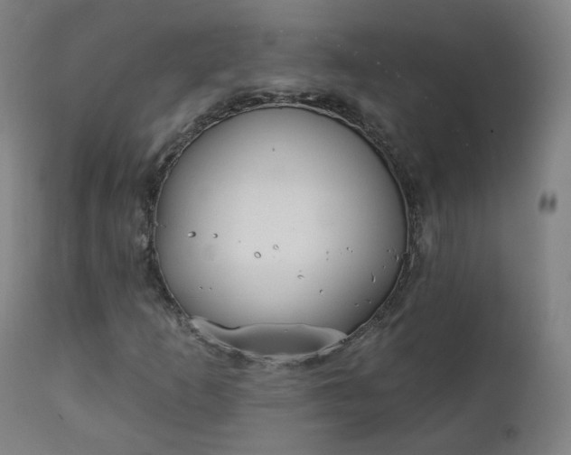 X0000111221253200907091303