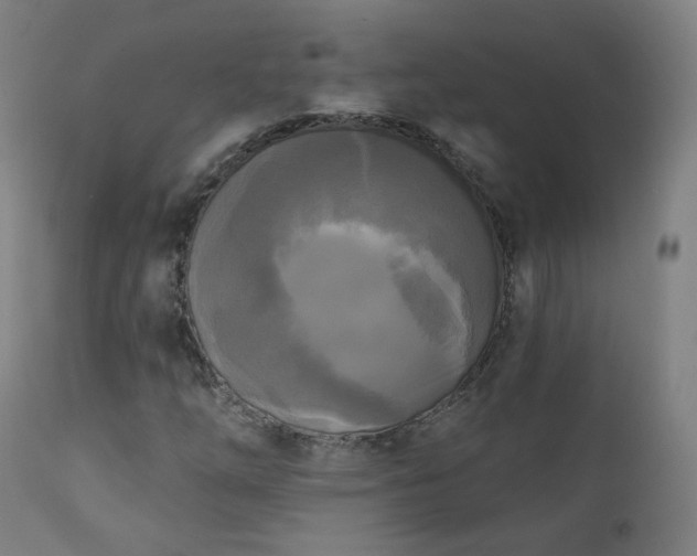 X0000111221254200907091303