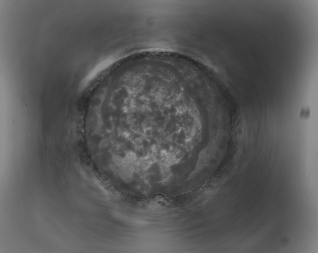 X0000111221255200907091303
