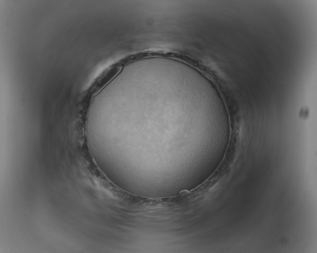 X0000111221256200907091303
