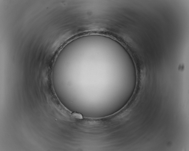 X0000111221257200907091303