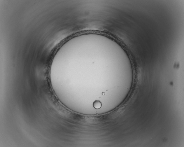 X0000111221258200907091303