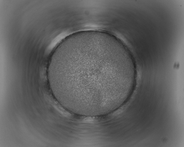 X0000111221259200907091303