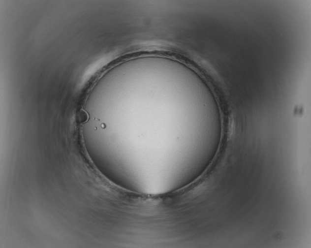 X0000111221261200907091303