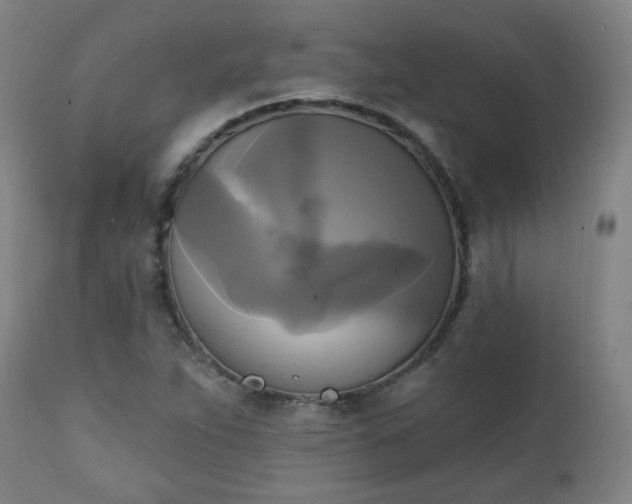 X0000111221263200907091303