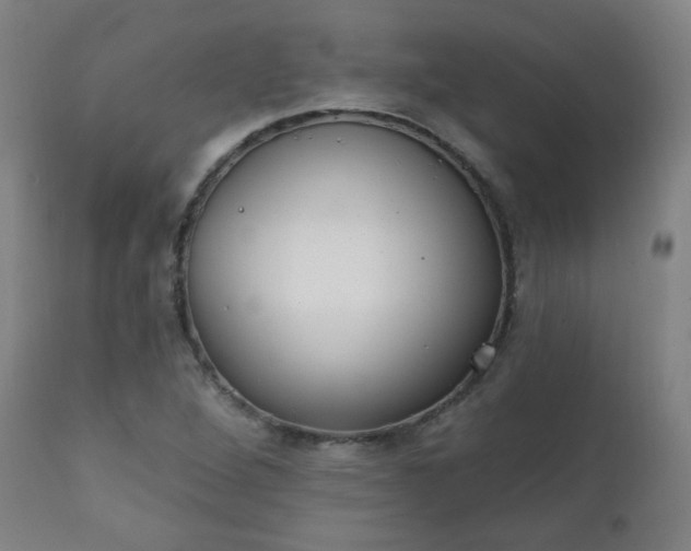 X0000111221264200907091303