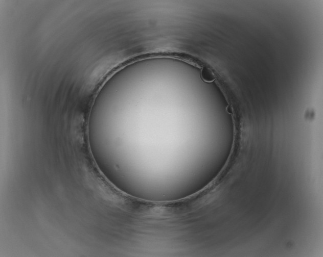 X0000111221265200907091303