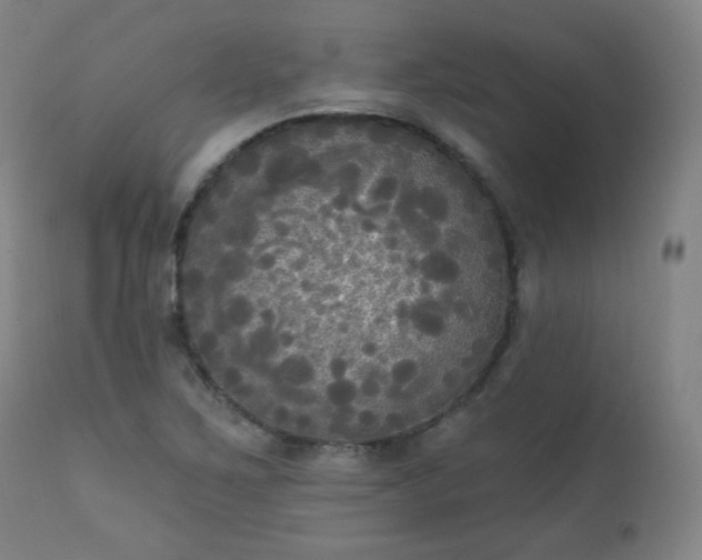 X0000111221267200907091303