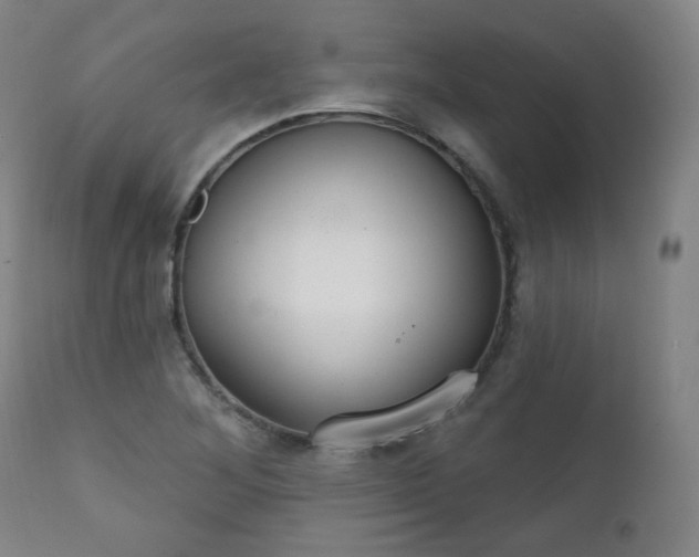 X0000111221268200907091303