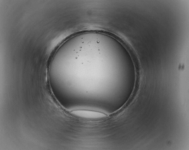 X0000111221269200907091303