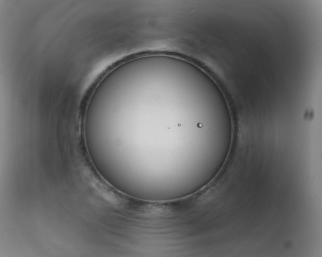 X0000111221270200907091303