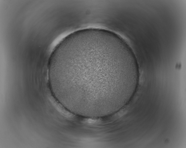 X0000111221271200907091303