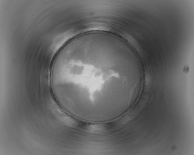 X0000111221274200907091303