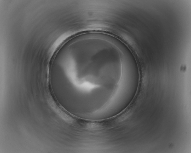 X0000111221275200907091303