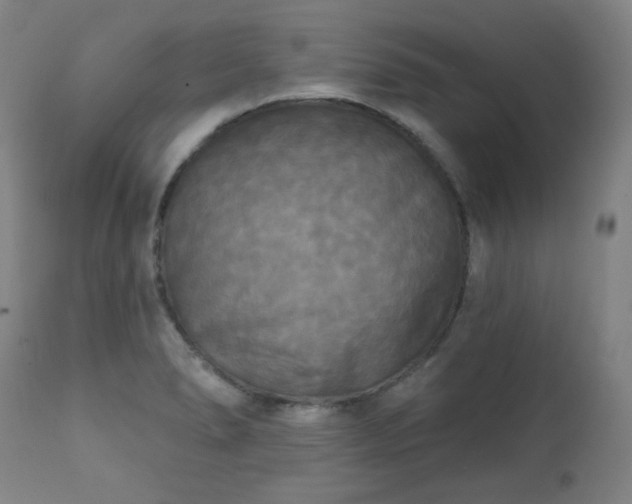 X0000111221278200907091303