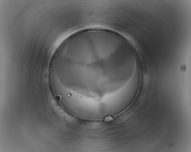 X0000111221279200907091303