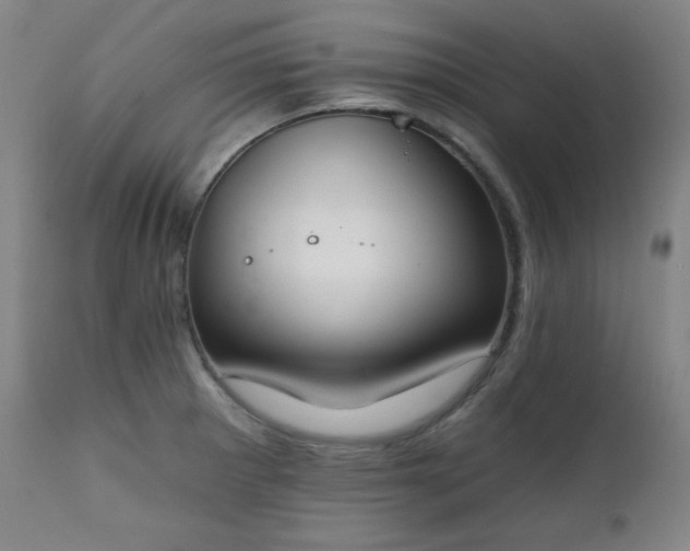 X0000111221281200907091303