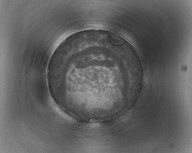 X0000111221283200907091303