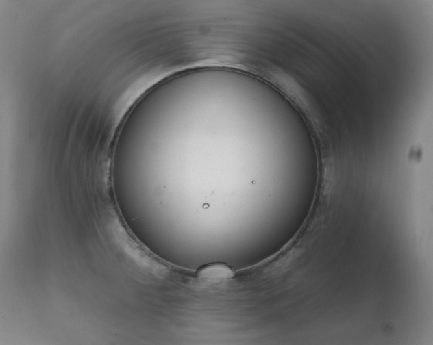 X0000111221284200907091303