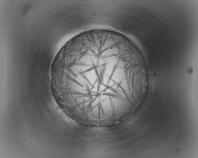 X0000111221287200907091302