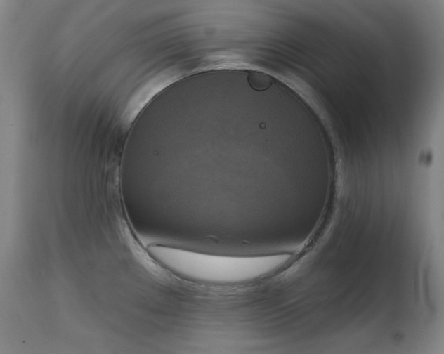 X0000111221289200907091302