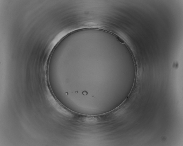 X0000111221291200907091302
