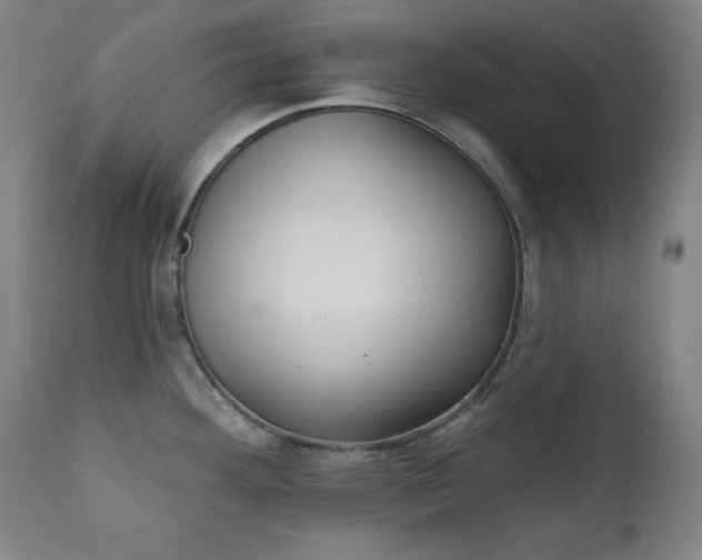 X0000111221292200907091302