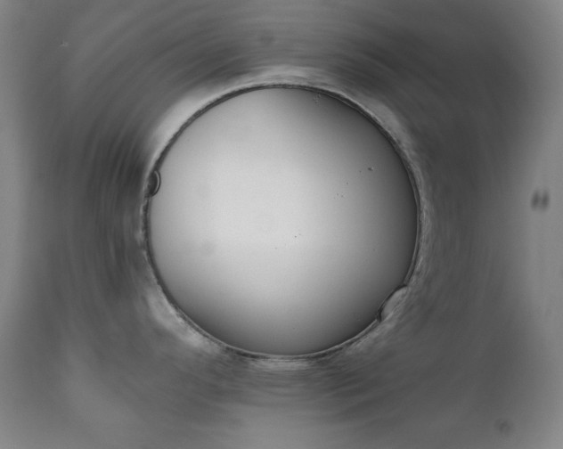 X0000111221296200907091302