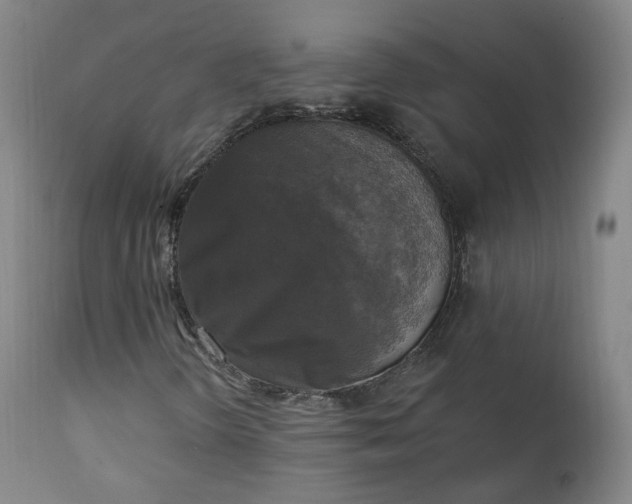 X0000111221298200907091302
