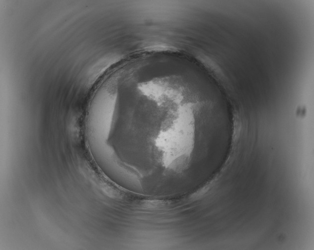 X0000111221305200907091302