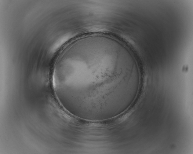 X0000111221306200907091302