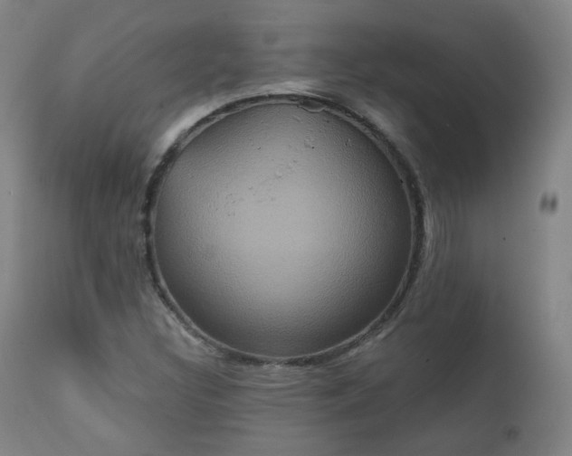 X0000111221308200907091302
