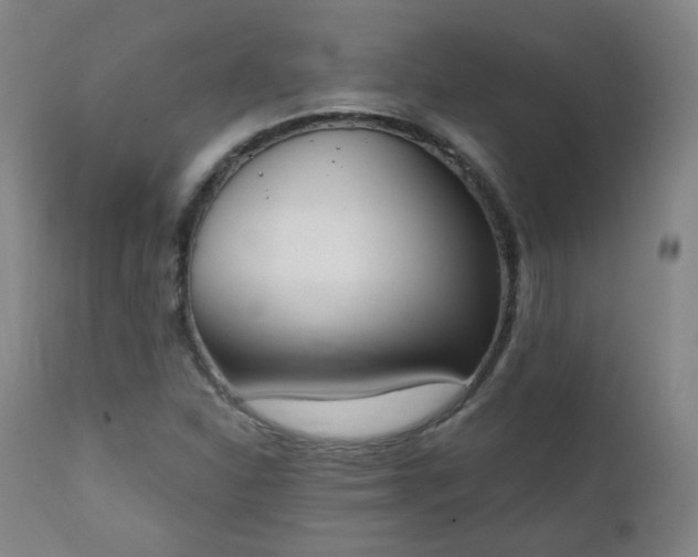 X0000111221310200907091302