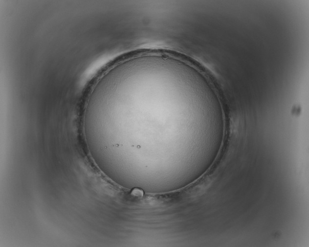 X0000111221311200907091302