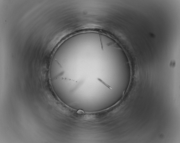X0000111221313200907091302
