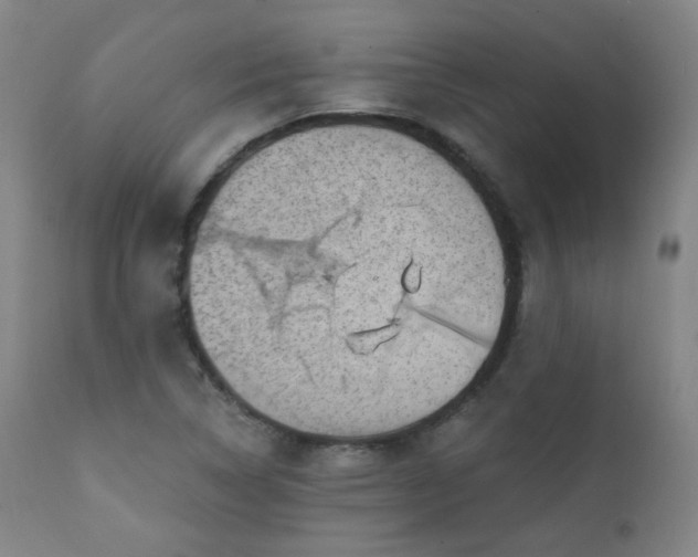 X0000111221314200907091302