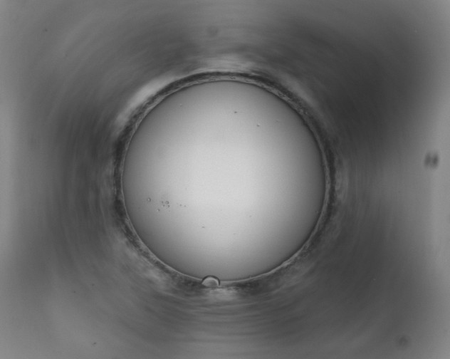 X0000111221315200907091302